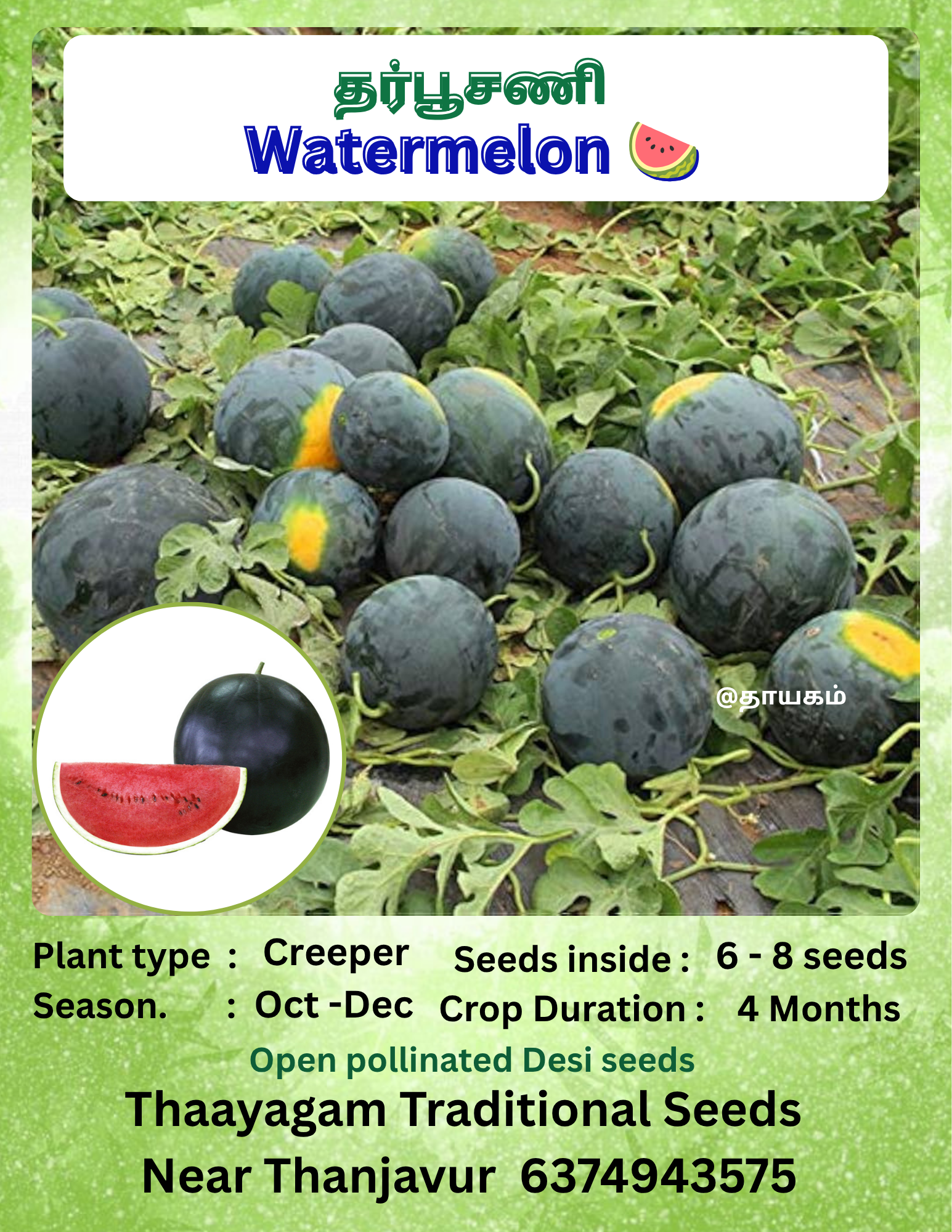 தர்பூசணி ‌(Watermelon 🍈)