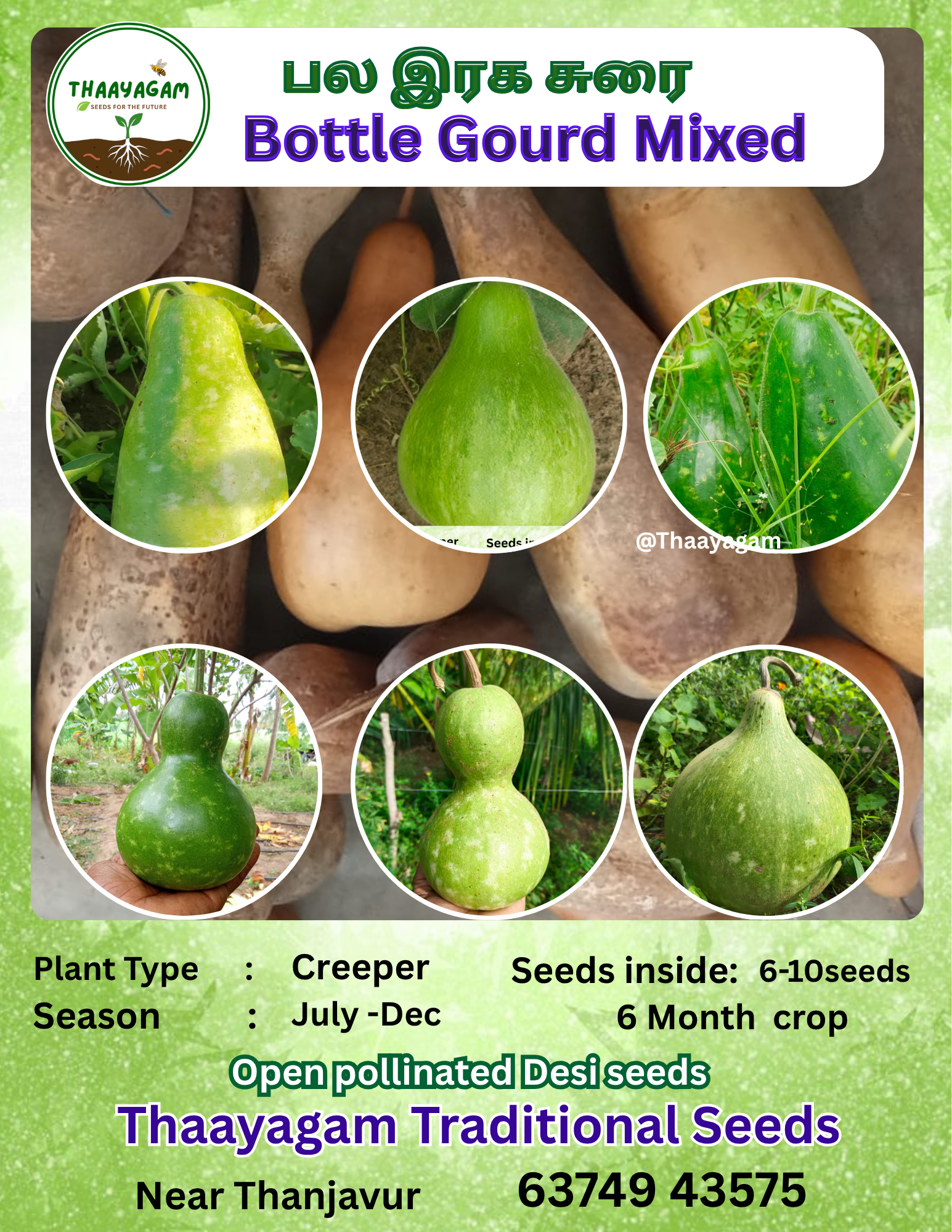 பலரக சுரைக்காய் Round ( Mixed Bottle gourd)